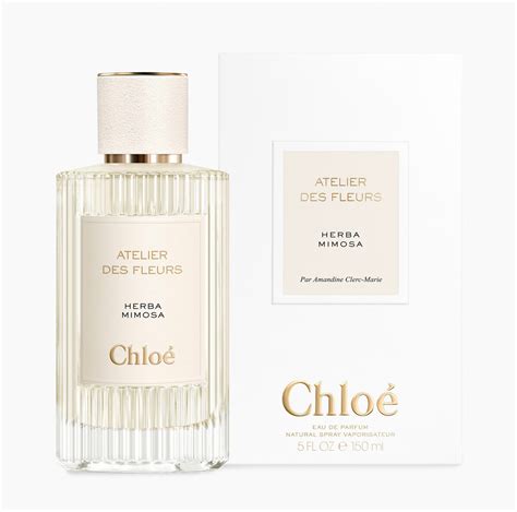 chloe mimosa|Herba Mimosa Chloé for women and men .